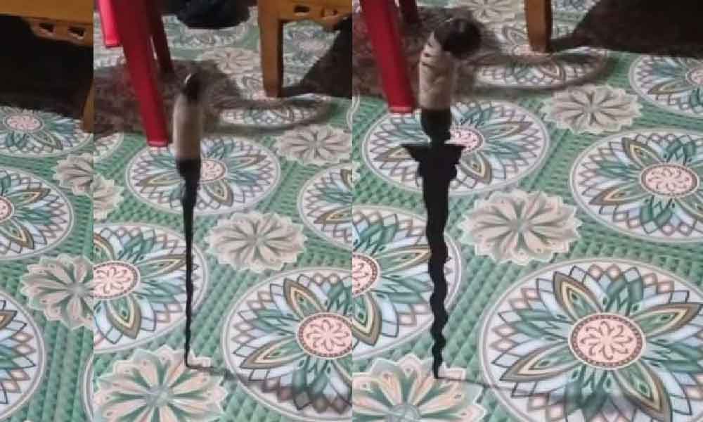 Keris mencari tuan baharu setelah pemilik sebenar meninggal dunia tiba-tiba berdiri raih perhatian ramai