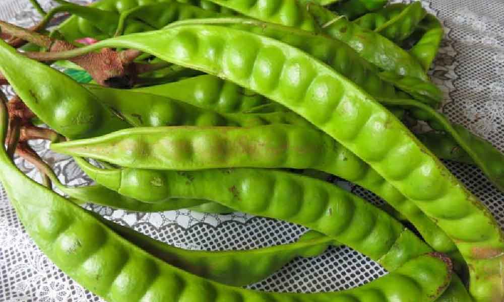 Tip penting nak hilangkan bau mulut bila makan petai, guna 1 jenis sayuran sahaja