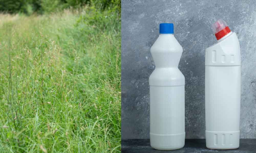 Cara mudah nak hapus rumput liar dalam masa dua hari, guna 3 bahan