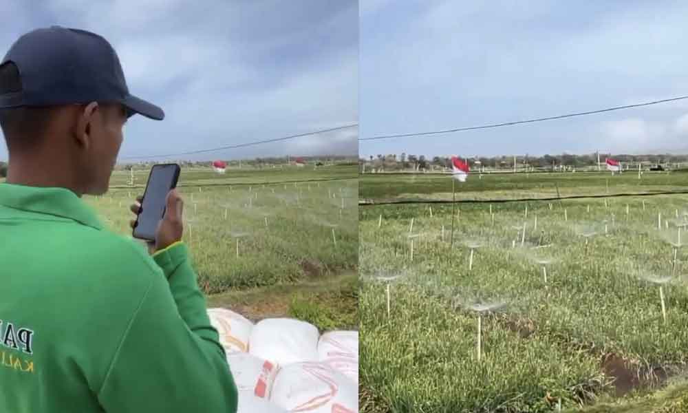 Seiring dengan arus pemodenan, petani siram tanaman guna aplikasi Google tarik perhatian ramai