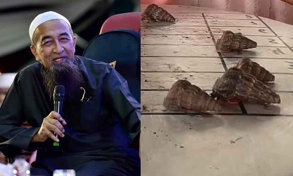 Apa hukum lumba siput? Ini penjelasan UAI