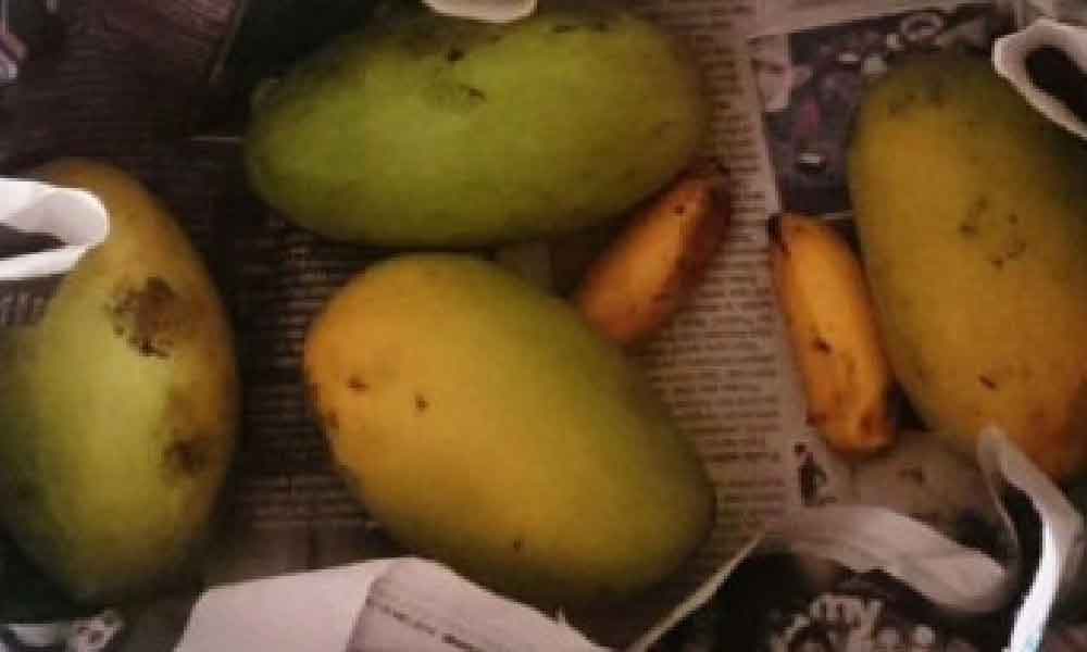 Guna je pisang peram buat belum masak 'confirm' menjadi