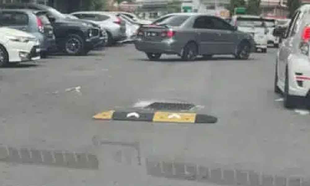 Netizen terhibur tengok saiz bonggol di Sabah yang sangat comel