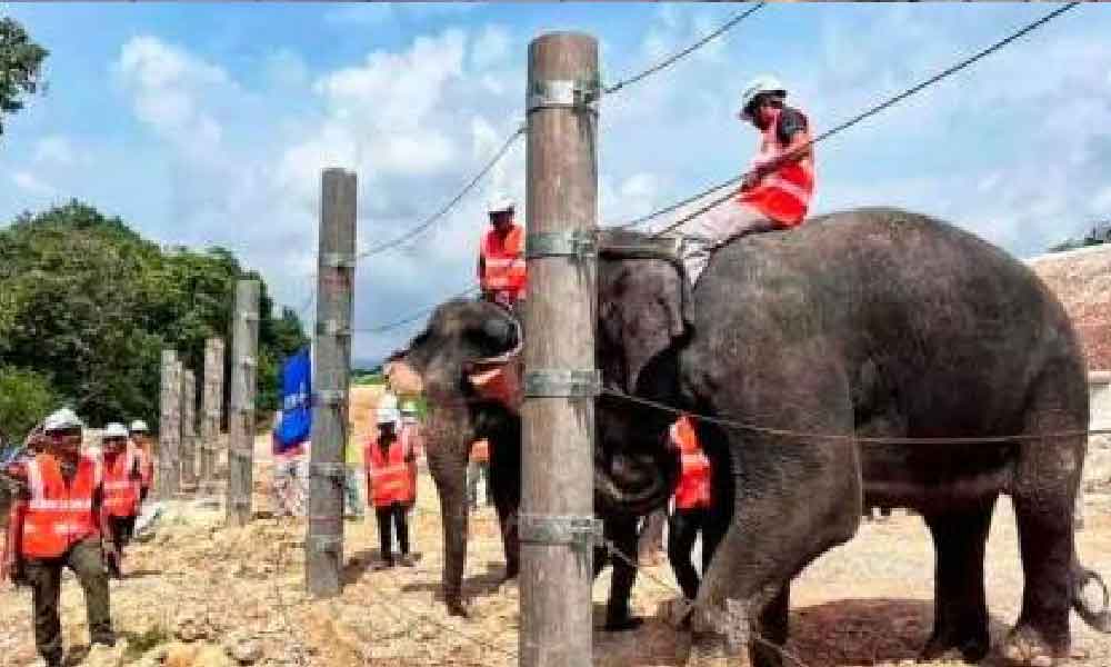 Bukan saja-saja guna, rupanya ini skop kerja gajah dalam pembinaan ECRL