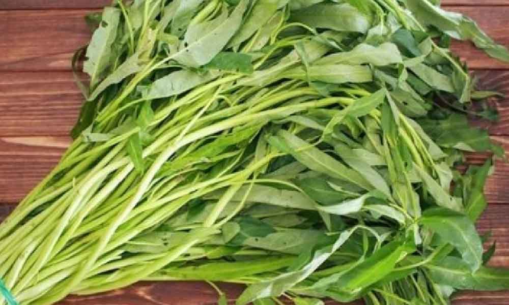 Siapa sangka sayur kangkong yang jadi kegemaran rakyat Malaysia rupanya haram di Amerika!