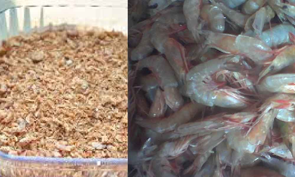 Kulit udang boleh buat seebuk ! Wanita ajar cara mudah tak pening