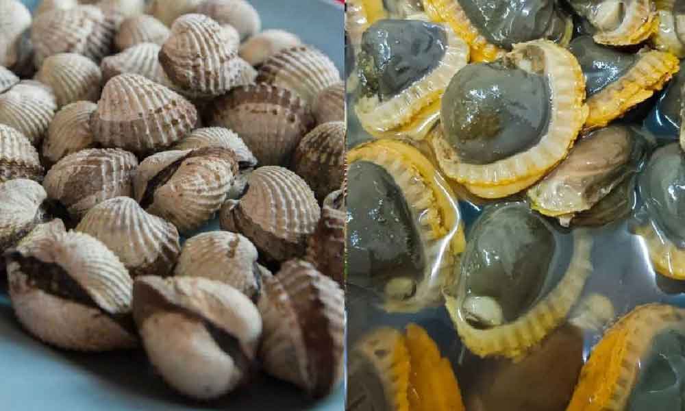 Rupanya ada cara nak dapatkan isi kerang montok dan bersinar