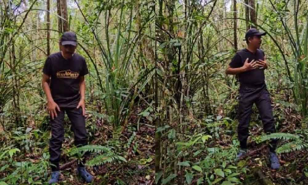JIka anda sesat di hutan! Ikut tip diajar lelaki ini, dengan izin Allah nampak jalan