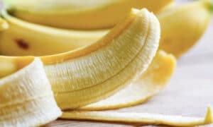 Bukan saja-saja rupanya bentuk pisang melengkung, ini sebabnya